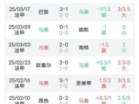 开云体育网站-包含马赛豪取客场连胜，升至法甲榜首的词条